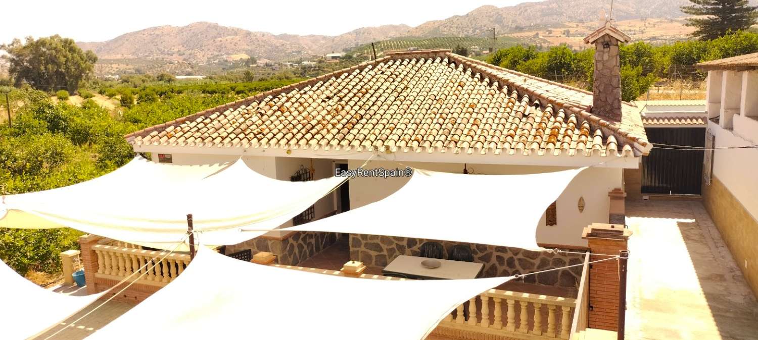 DETACHED HOUSE, LEMON ORCHARD 8,400 m2 WITH TOURIST LICENSE IN ÁLORA, MÁLAGA