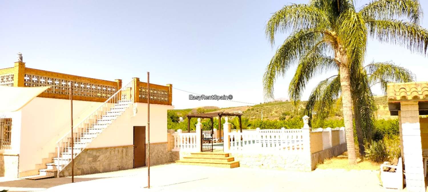 DETACHED HOUSE, LEMON ORCHARD 8,400 m2 WITH TOURIST LICENSE IN ÁLORA, MÁLAGA