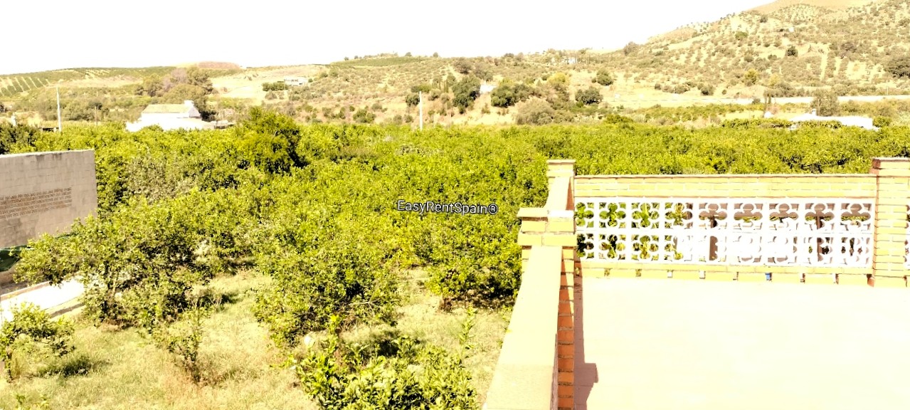 DETACHED HOUSE, LEMON ORCHARD 8,400 m2 WITH TOURIST LICENSE IN ÁLORA, MÁLAGA