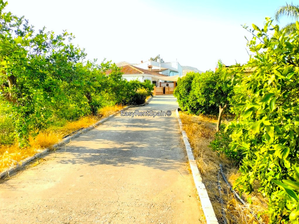 DETACHED HOUSE, LEMON ORCHARD 8,400 m2 WITH TOURIST LICENSE IN ÁLORA, MÁLAGA