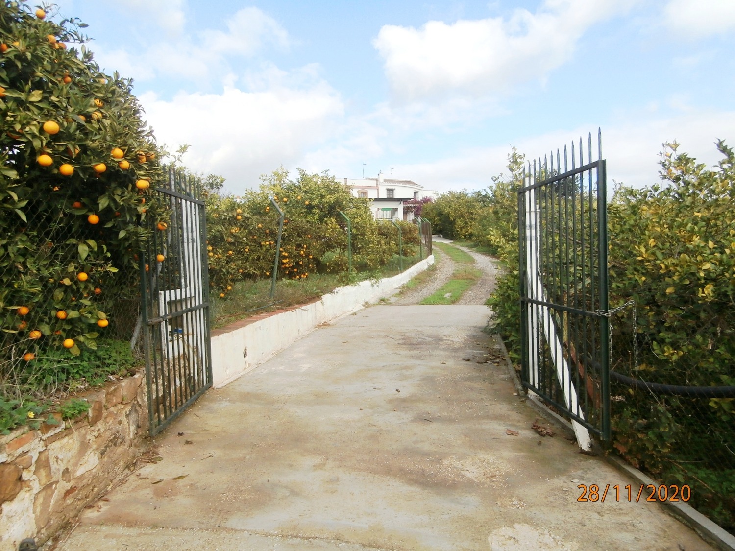 Gran Casa de campo pareada de estilo Andaluz con piscina, terreno cultivable, totalmente vallado 3.220 m2 aprox, buen acceso.